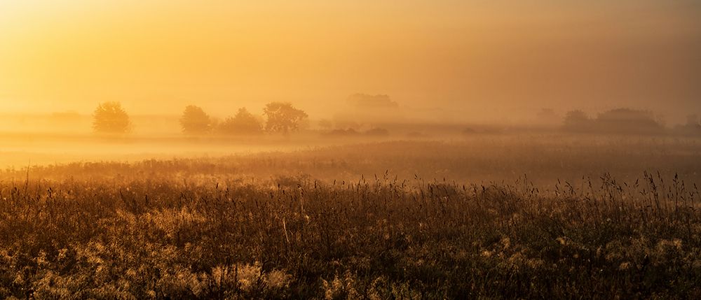MorningMood art print by Jurgen Mus for $57.95 CAD