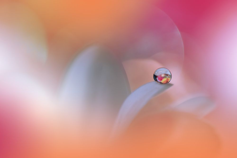 The Sound Of Innocence...III art print by Juliana Nan for $57.95 CAD