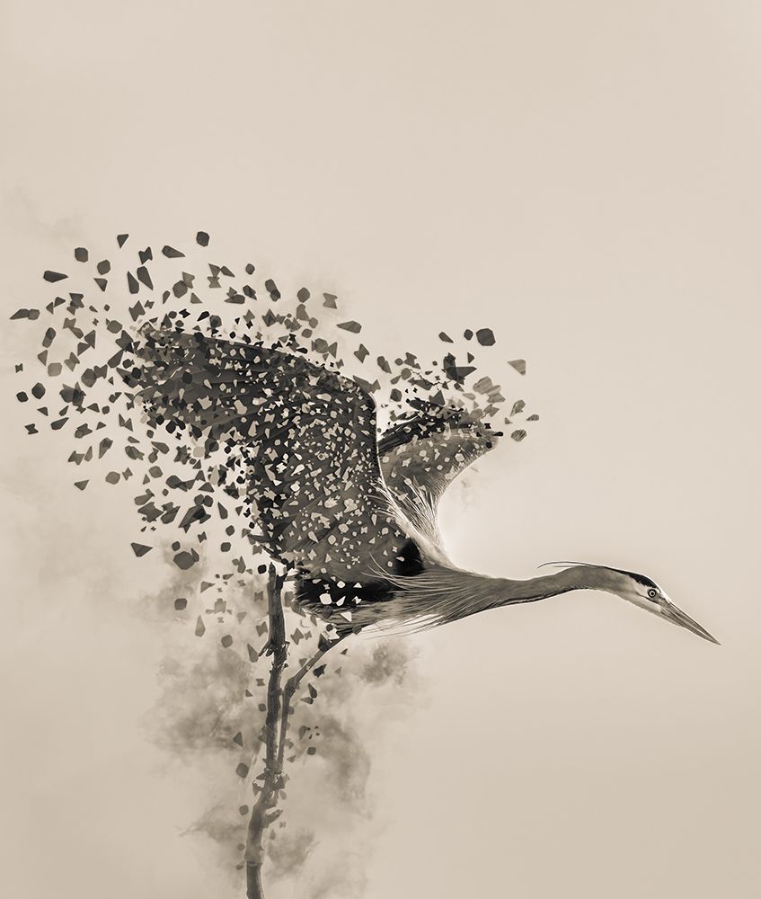 A Blue Heron art print by Yunqiang Li for $57.95 CAD