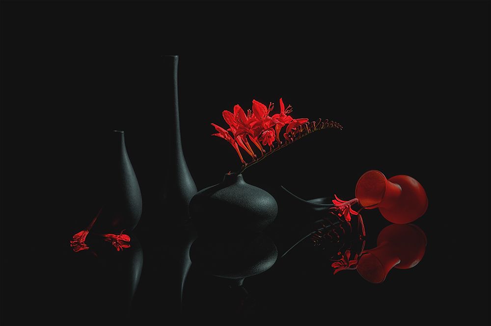 Red Charming Flower art print by Lydia Jacobs for $57.95 CAD