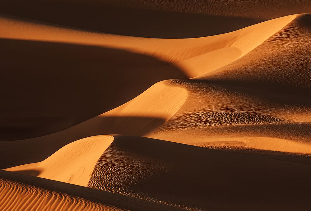 The Sand Dune Ladder art print by Jenny Qiu for $57.95 CAD