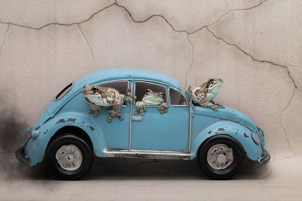 Beep Beep art print by Louise Wolbers for $57.95 CAD