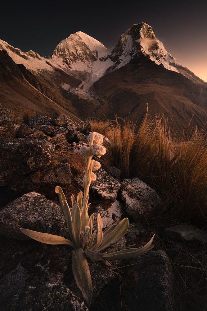 Nevado Huascaran art print by Karol Nienartowicz for $57.95 CAD