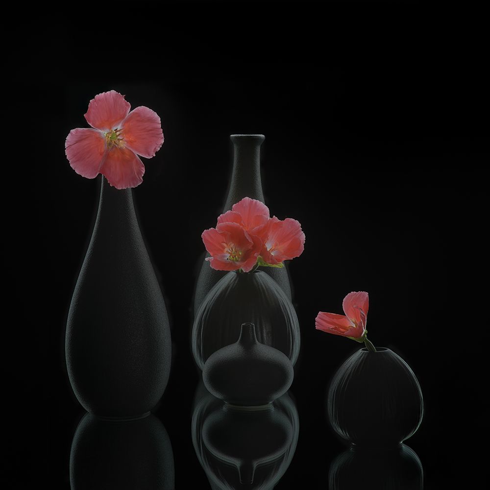 Still Life 46 art print by Alice Sheng for $57.95 CAD