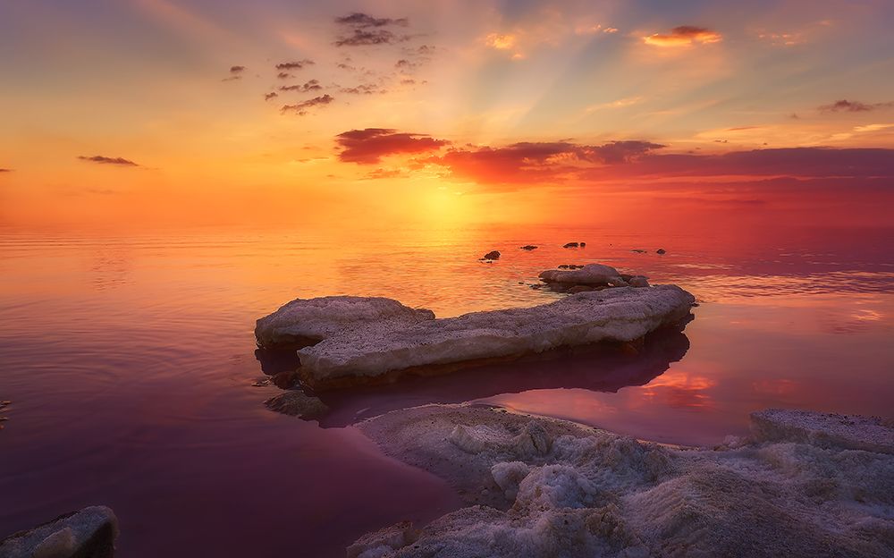 Pink Lagoon art print by Helena Garcia for $57.95 CAD