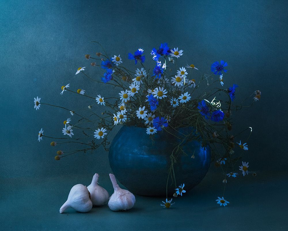 Blue And White art print by Judy Tseng for $57.95 CAD