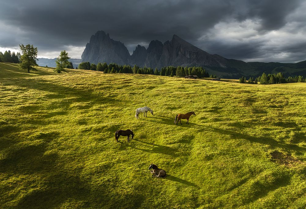 Horses in the Dolomites art print by Ales Krivec for $57.95 CAD
