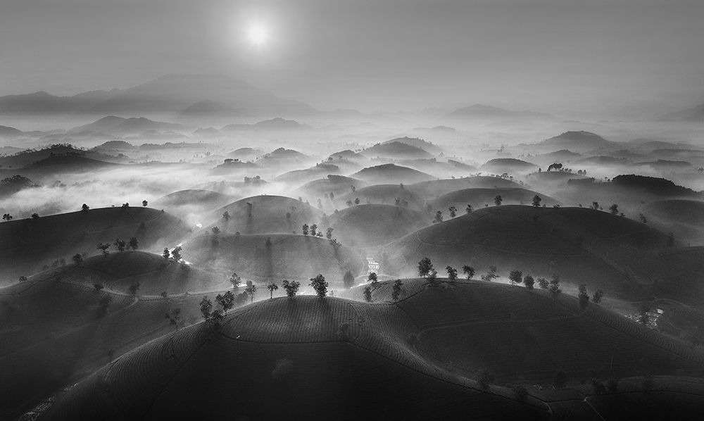 New Day In Long Coc Tea Hill art print by Nguyen Tan Tuan for $57.95 CAD