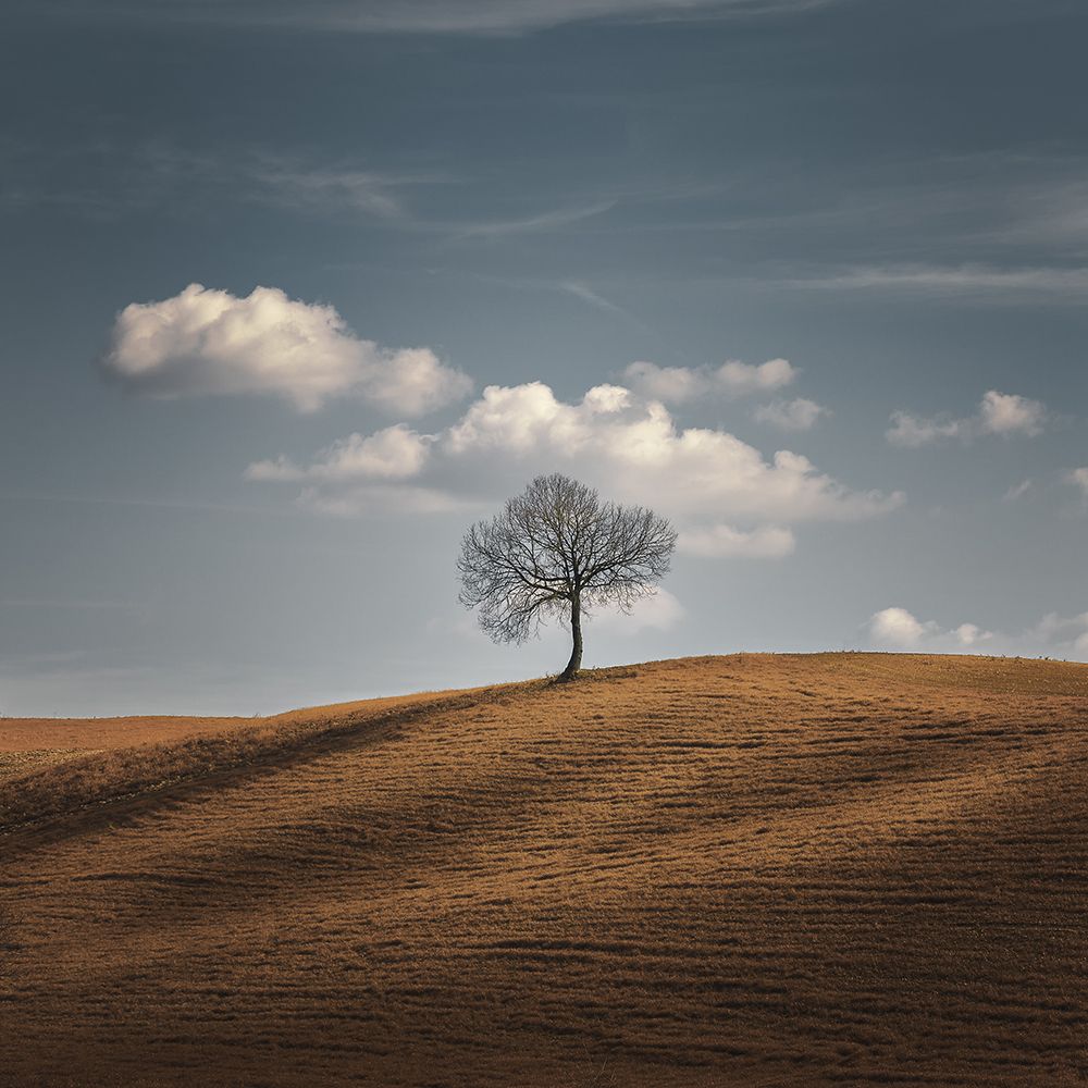 Better Alone art print by Thomas De Franzoni for $57.95 CAD
