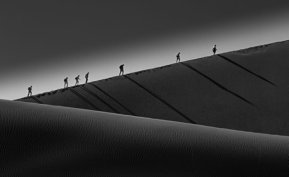 Climbing Up art print by Gemma Yang for $57.95 CAD