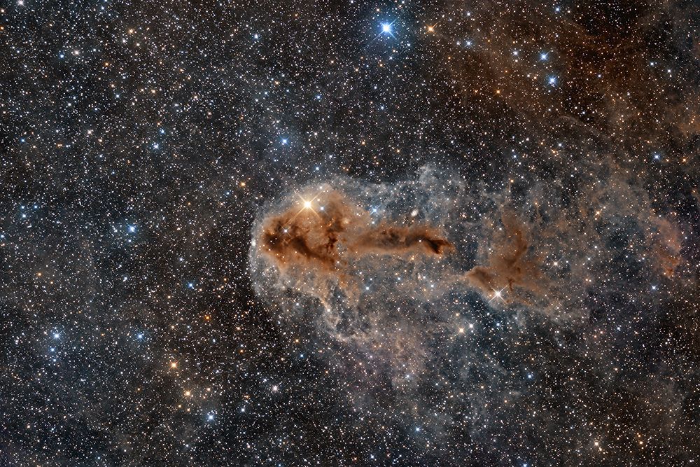 Rotten Fish Nebula art print by Vikas Chander for $57.95 CAD