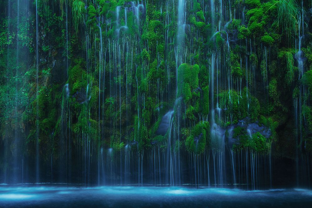Mossbrae art print by Wei Liu for $57.95 CAD