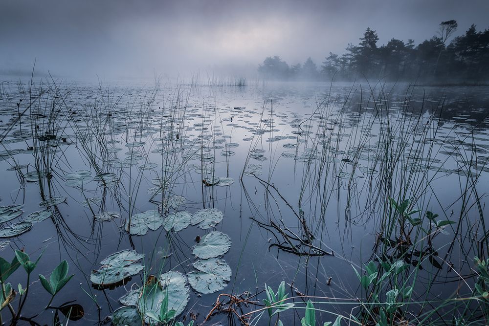 Dawn Light art print by Benny Pettersson for $57.95 CAD