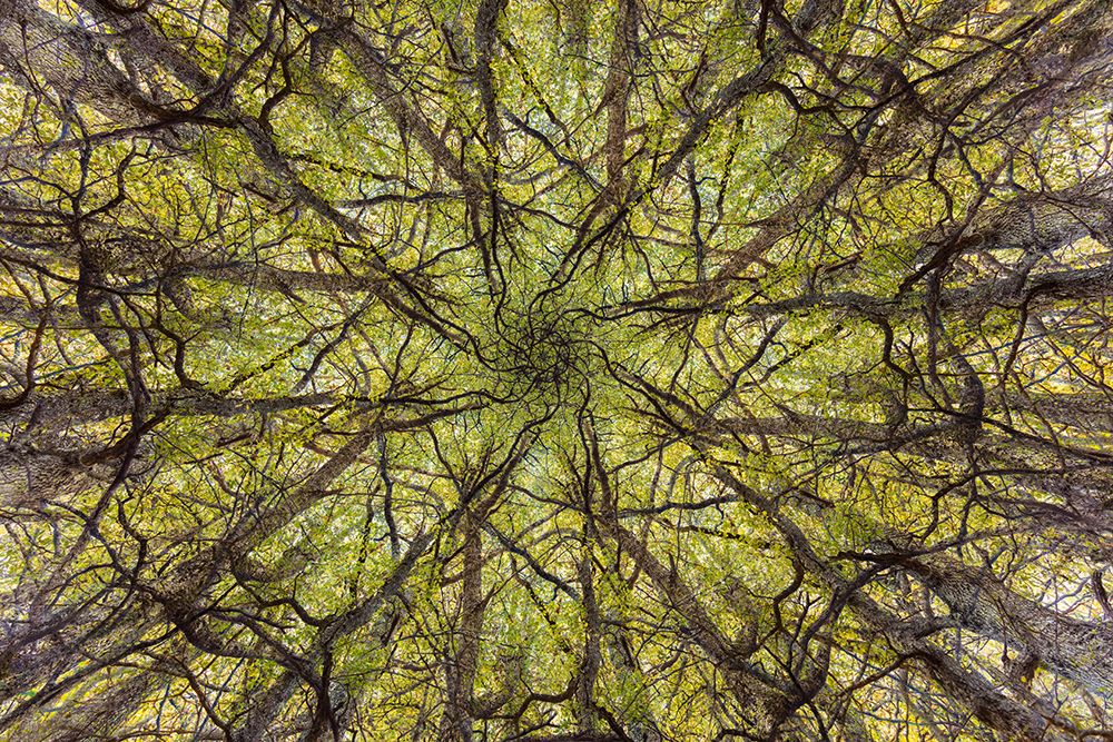 neural connection art print by Aitor Badiola for $57.95 CAD