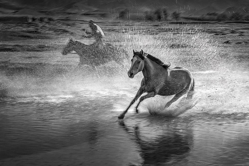 Running Horses art print by Anna Zhang for $57.95 CAD