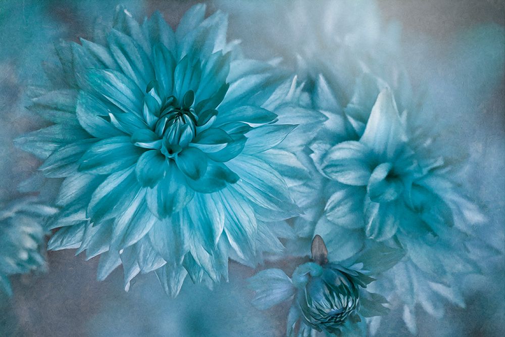 Twilight art print by Jacky Parker for $57.95 CAD