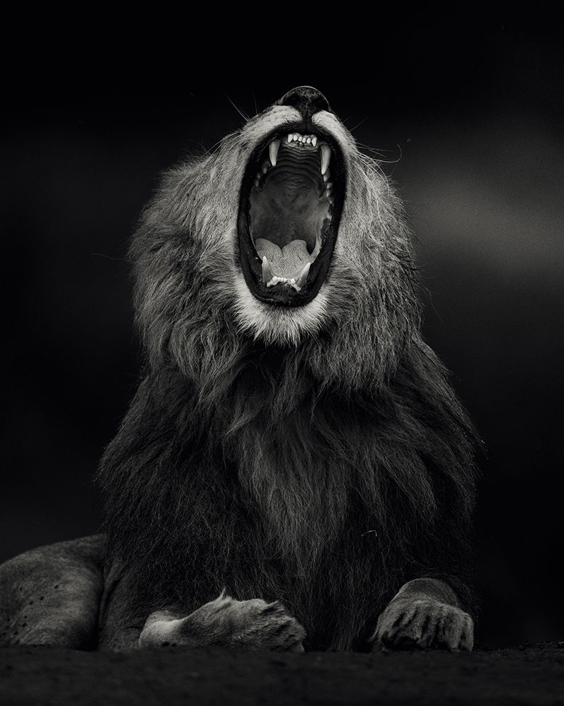 Yawning art print by Ahmed Sobhi for $57.95 CAD