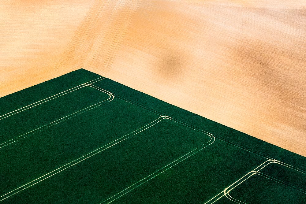Green Field art print by Sebastian Prioteasa for $57.95 CAD