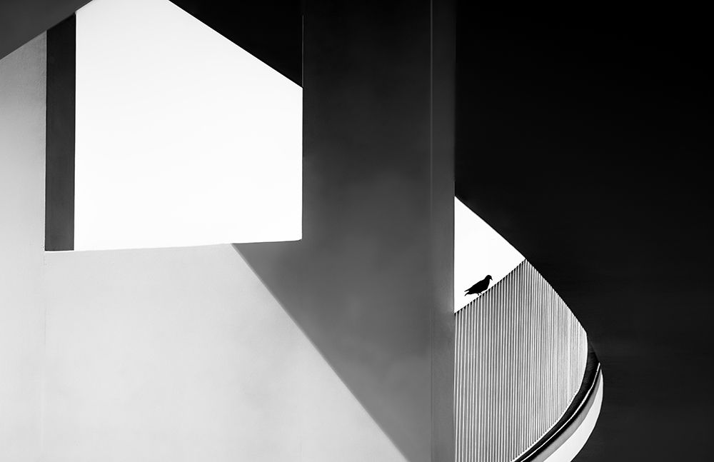 View Through art print by Stephan Ruckert for $57.95 CAD