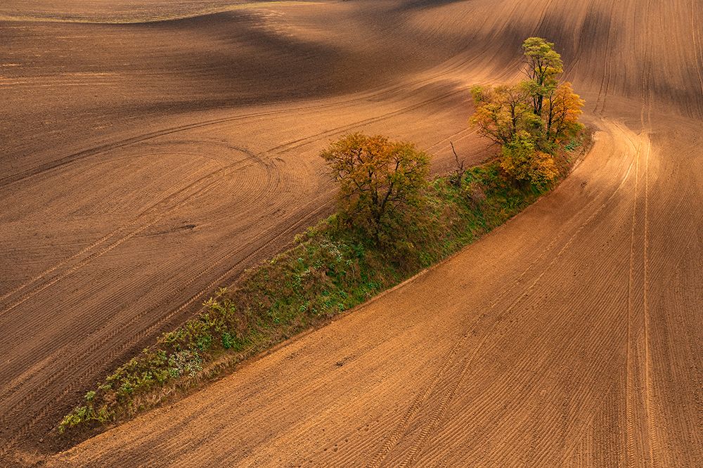 South Moravia art print by Jure Kravanja for $57.95 CAD
