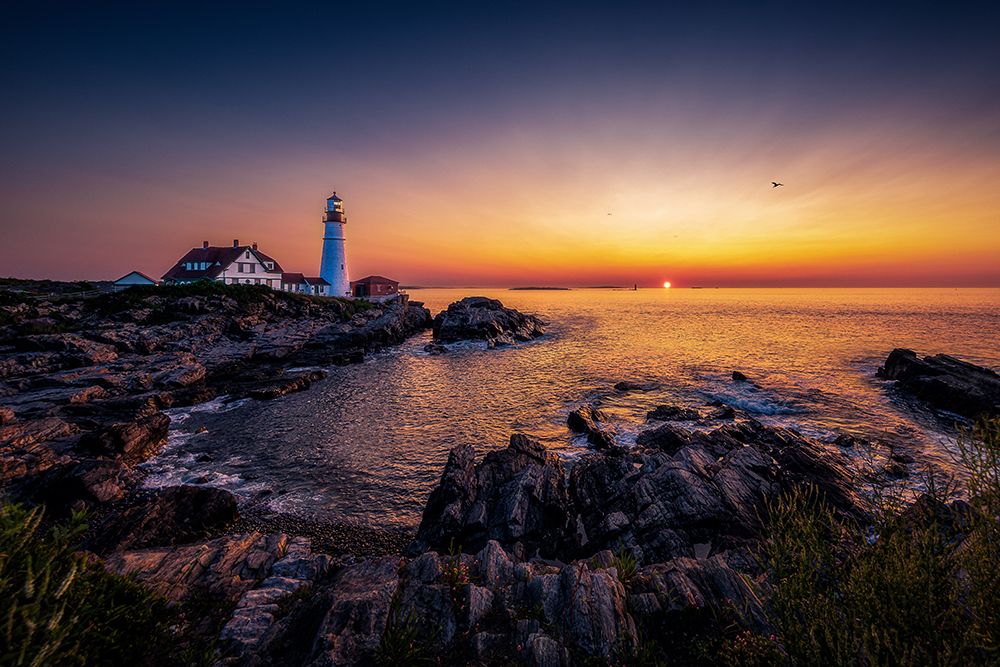 Sunrise By Sea art print by Steven Zhou for $57.95 CAD