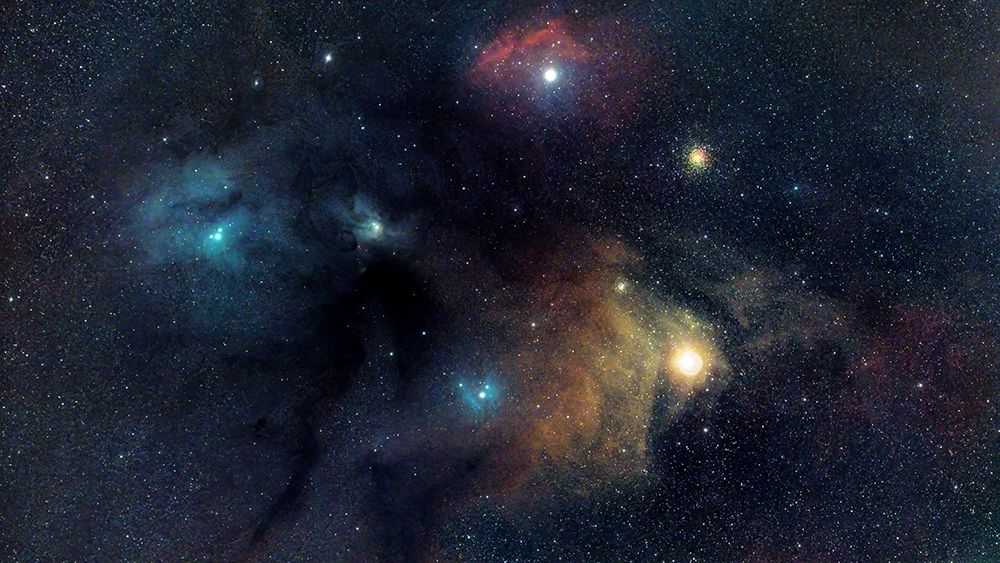 Rho art print by Taransohal for $57.95 CAD