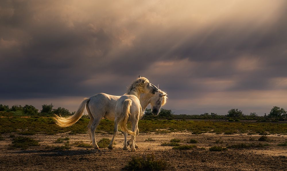 After The Storm...Light! A732210 art print by Joanaduenas for $57.95 CAD