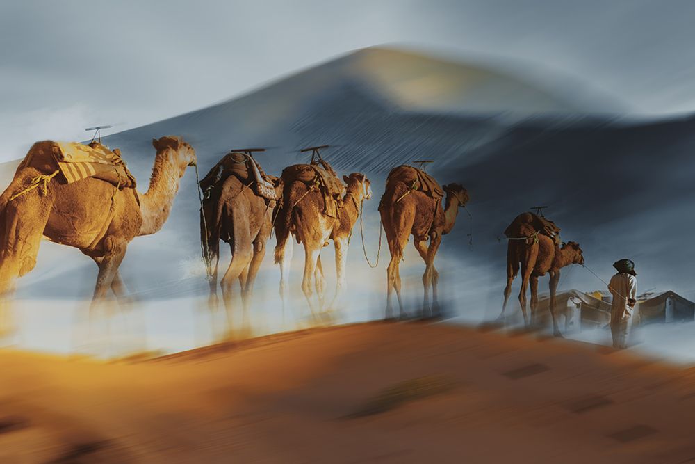 Caravane art print by Gabrielle Halperin for $57.95 CAD