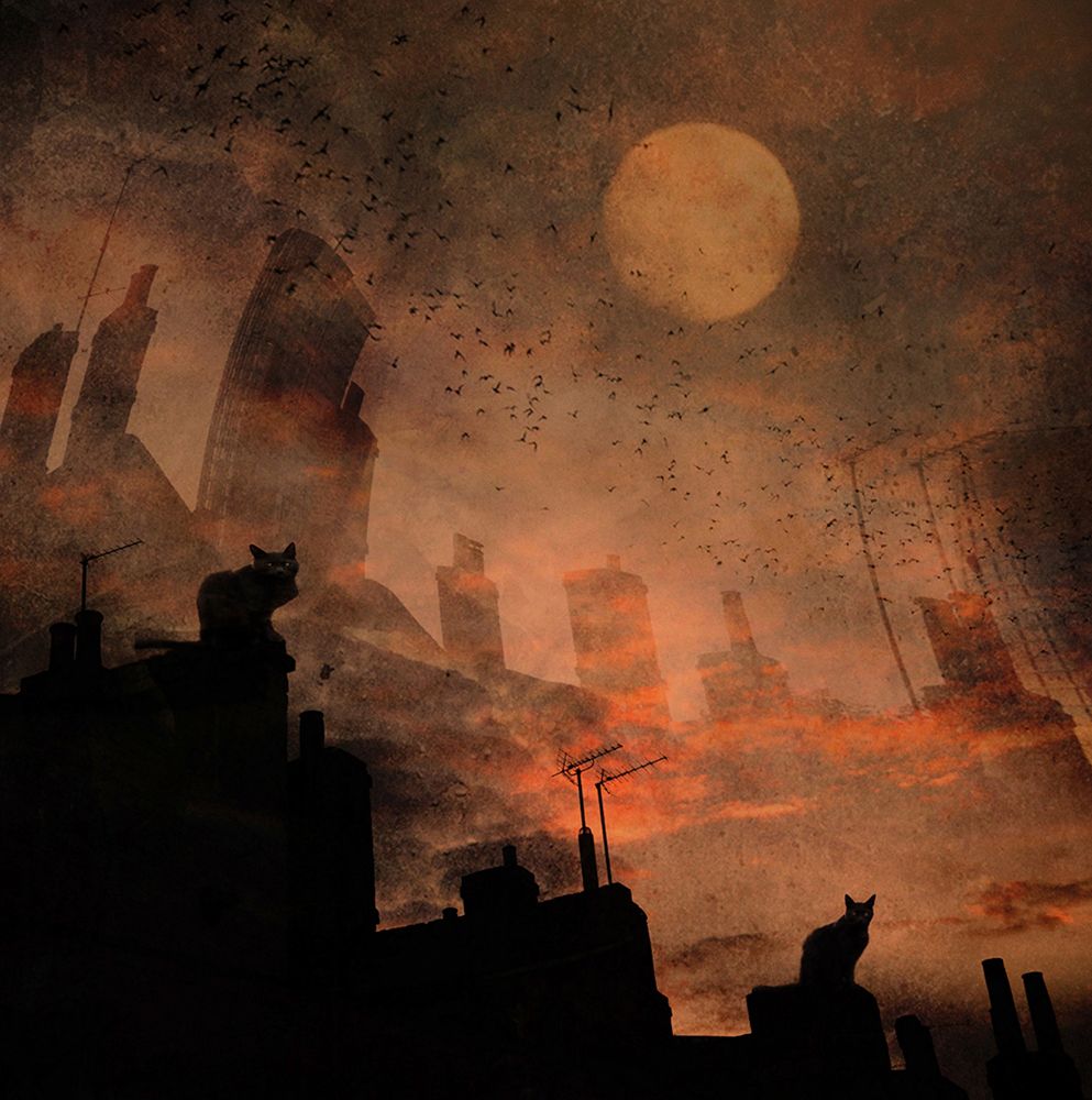 Day X... Cats... art print by Robert Fabrowski for $57.95 CAD