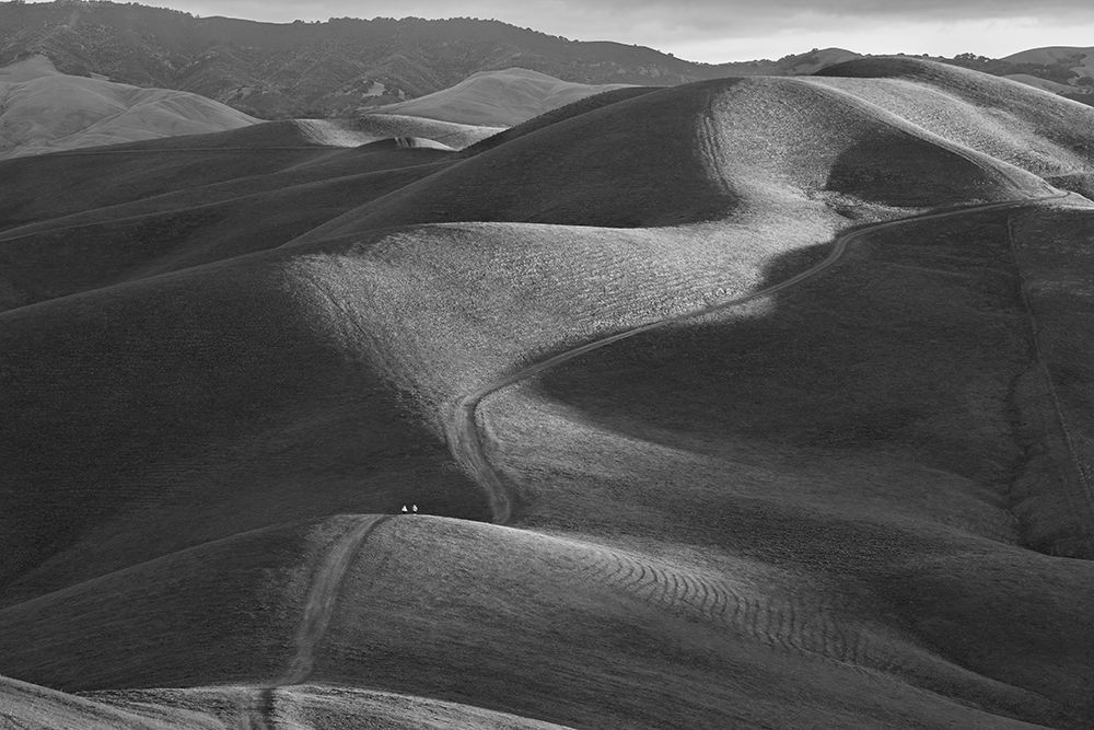 Rolling Hills art print by Yun Mao for $57.95 CAD