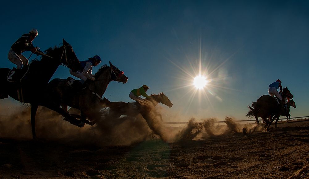 Betoota Flying Through The Dust art print by Sharon Lee Chapman for $57.95 CAD
