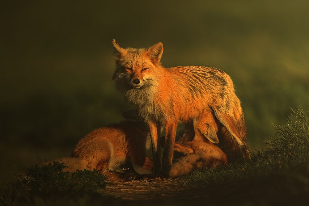 Motherhood art print by Rob Li for $57.95 CAD