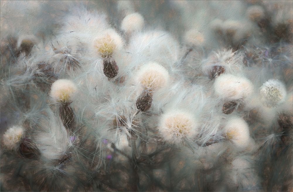 Free Fall art print by Gilbert Claes for $57.95 CAD