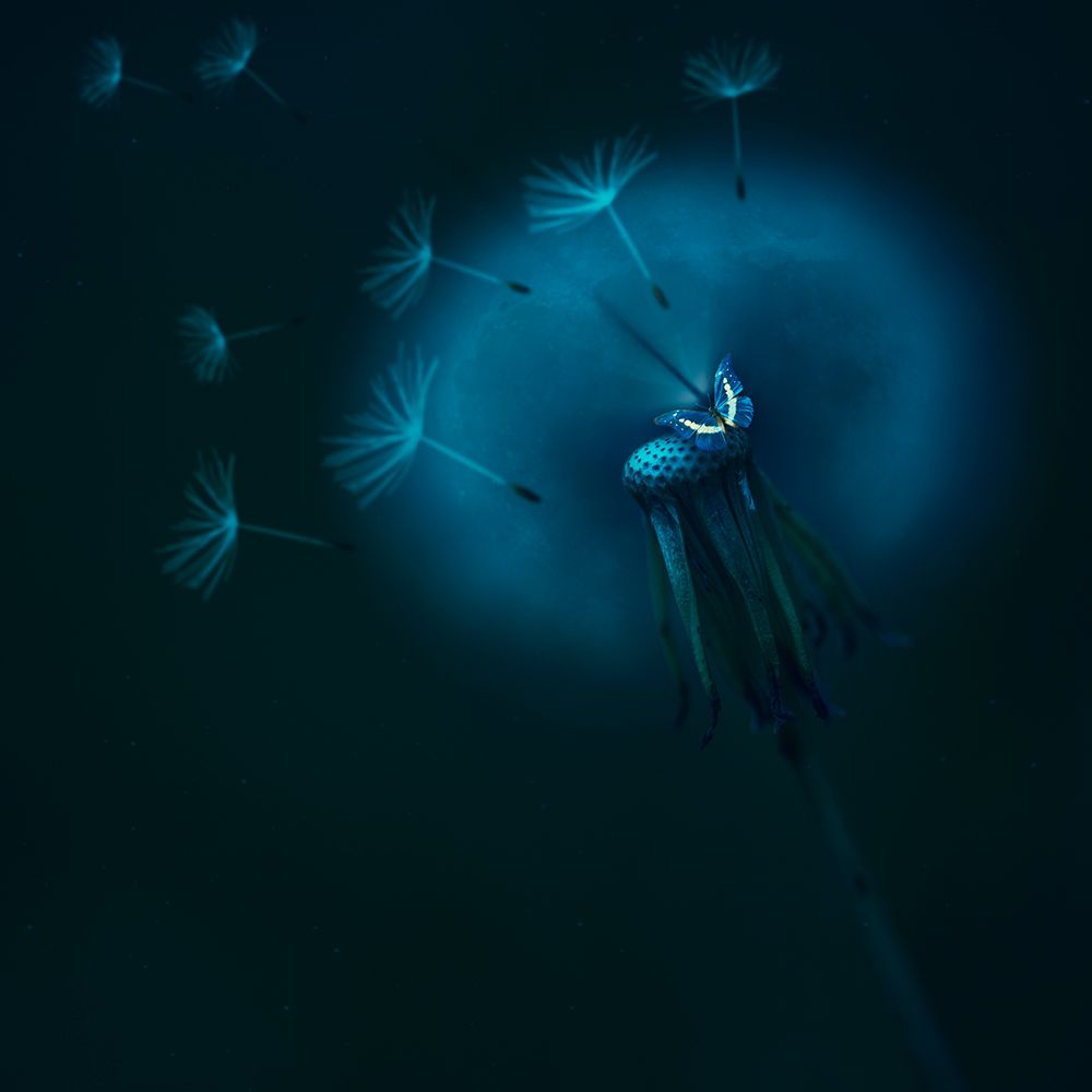 Untitled art print by Nikki Georgieva V for $57.95 CAD