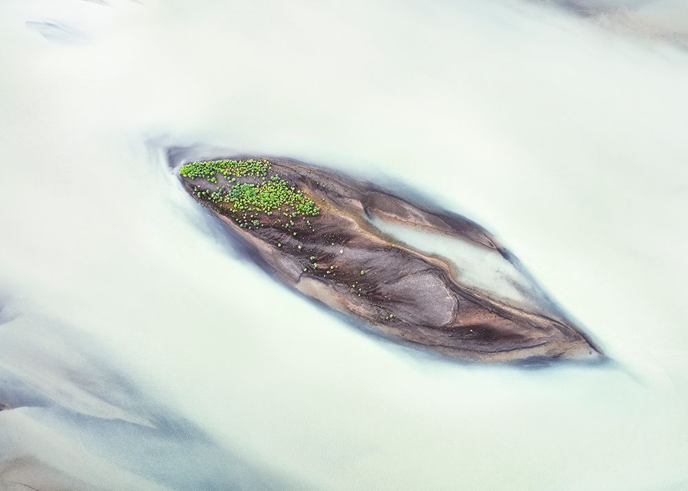 Lupine Islet art print by Shenshen Dou for $57.95 CAD
