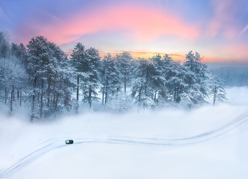 Winter Morning Glow art print by Ling Lu for $57.95 CAD