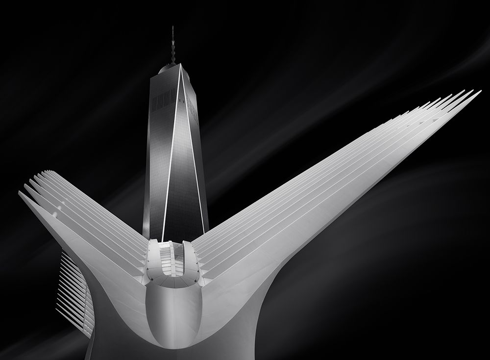 Flying In Oculus art print by Helena Garcia for $57.95 CAD