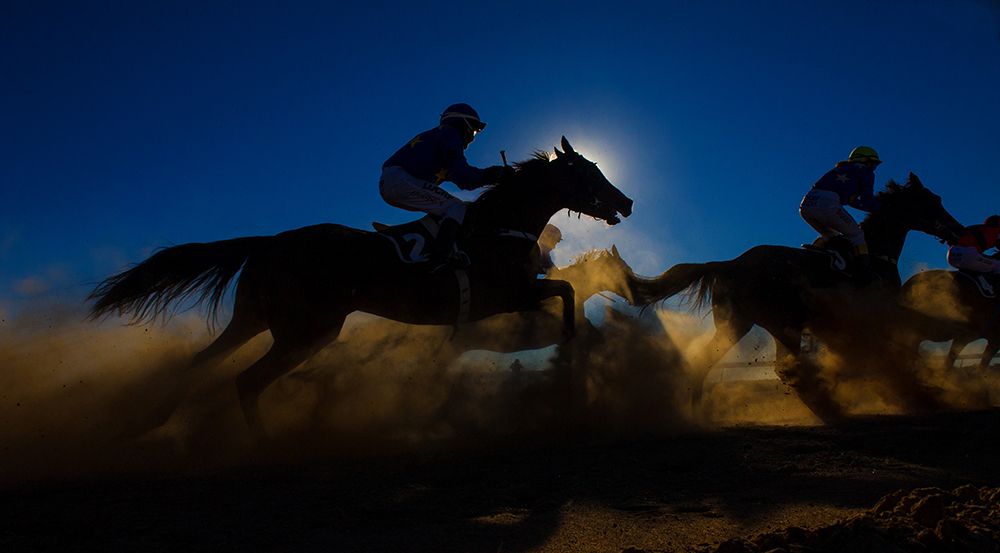 Horse Racing Through The Dust art print by Sharon Lee Chapman for $57.95 CAD