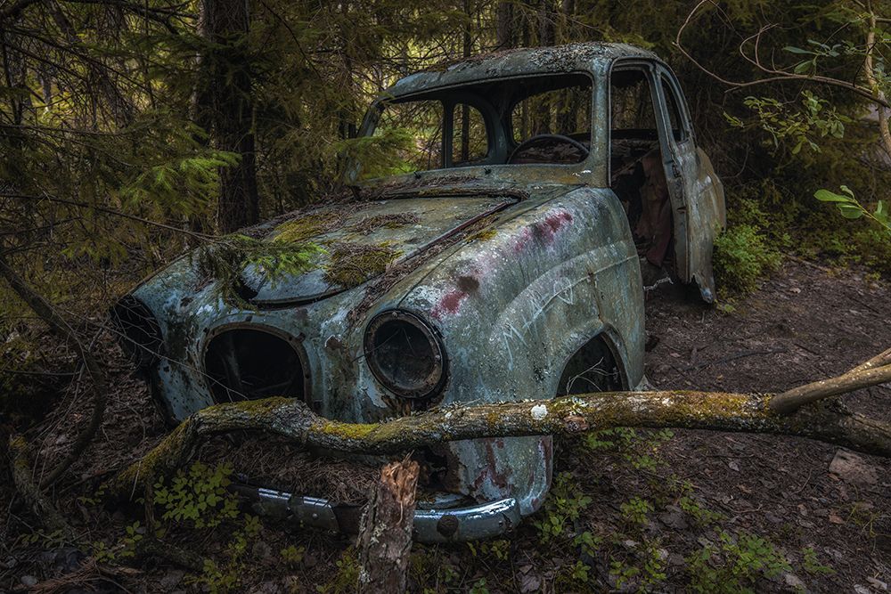 Used art print by Benny Pettersson for $57.95 CAD