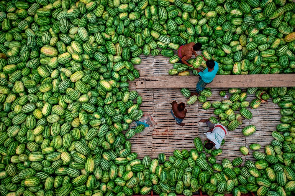 Boats Of Huge Watermelons art print by Azim Khan Ronnie for $57.95 CAD