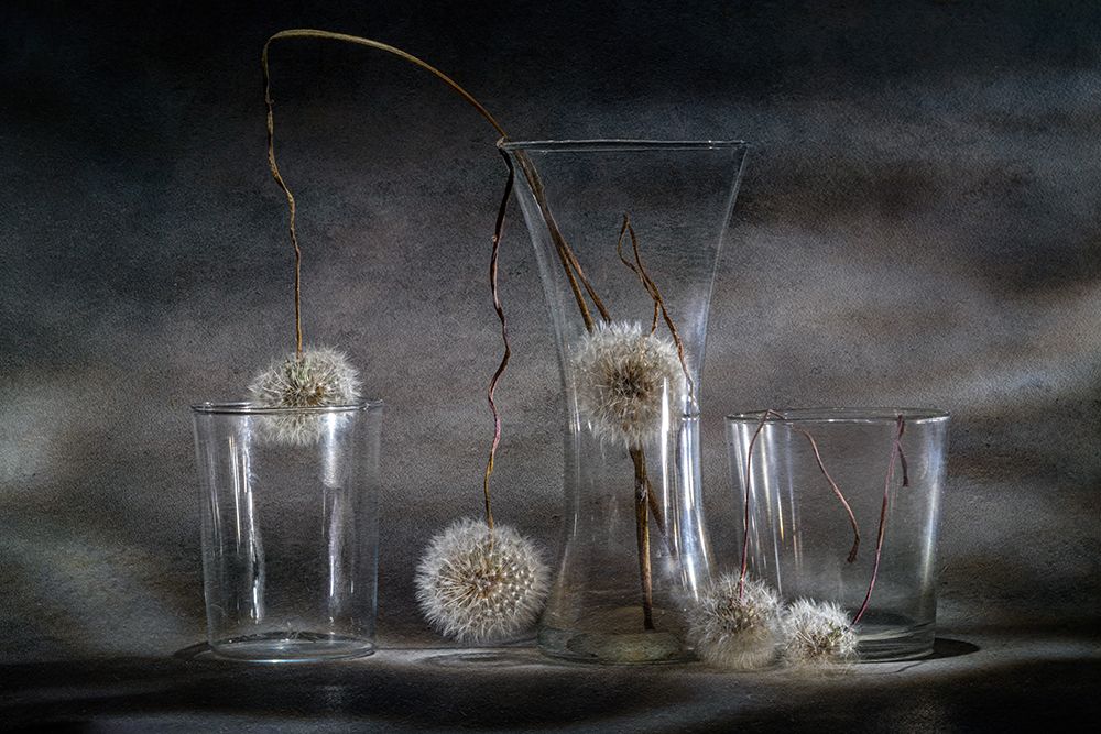 Dandelion Trap art print by Igor Kopcev for $57.95 CAD