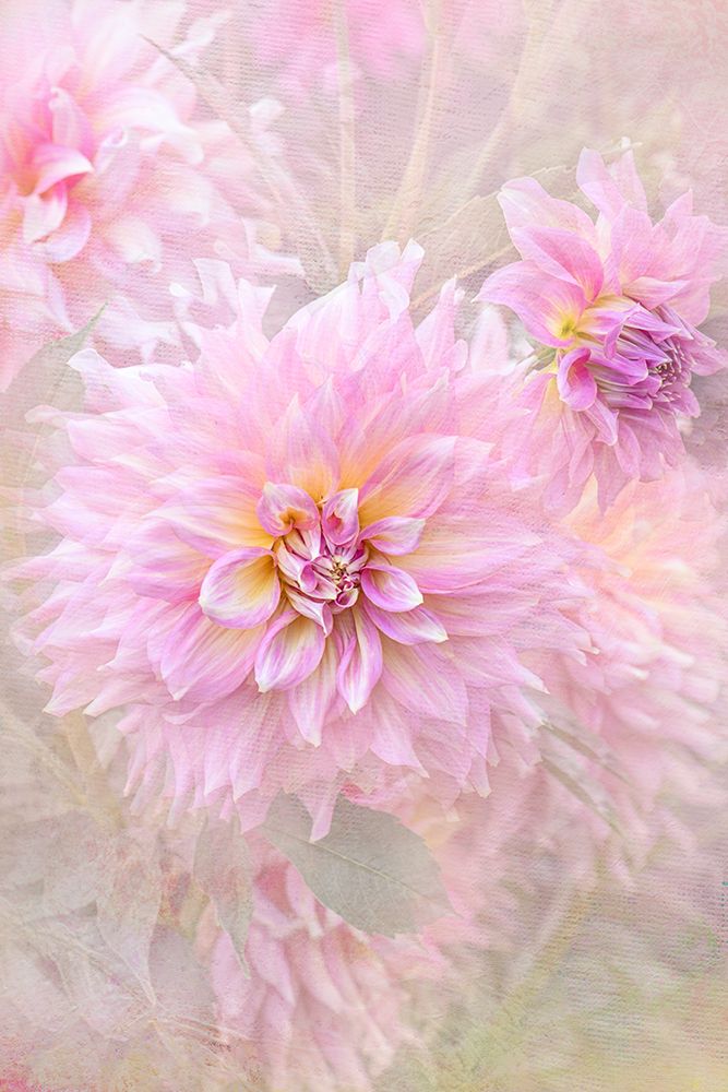 Caress art print by Jacky Parker for $57.95 CAD