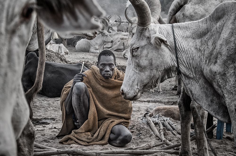 In A Mundari Cattle Camp - South Sudan art print by Joxe Inazio Kuesta for $57.95 CAD