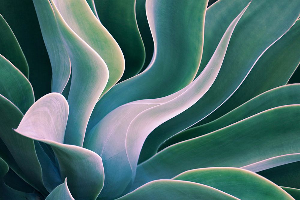 Shades Of Summer art print by Robin Wechsler for $57.95 CAD