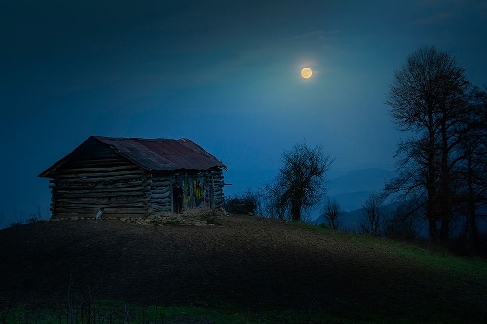 Moonlight art print by Danial.F16 for $57.95 CAD