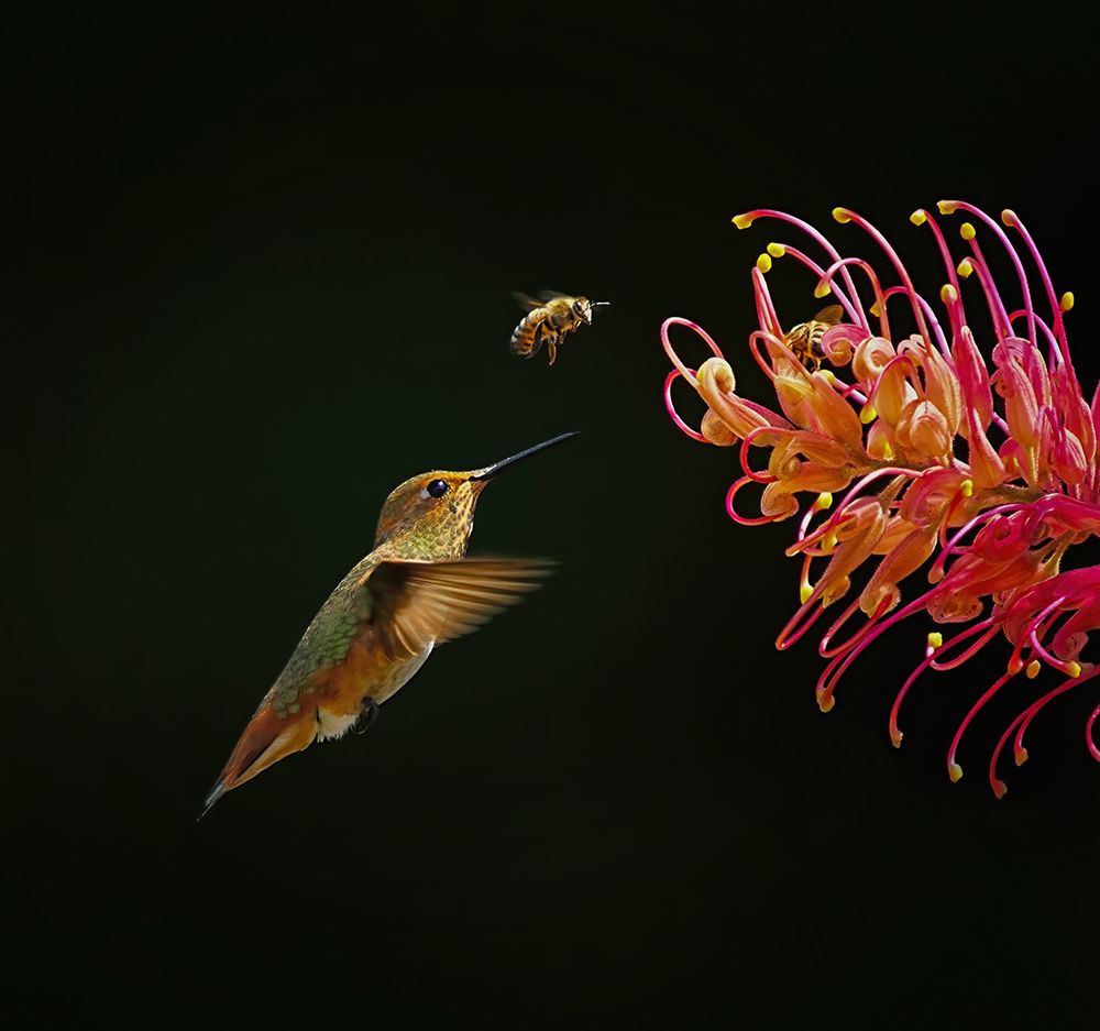 Having Fun Together art print by Xiaojian Huang for $57.95 CAD