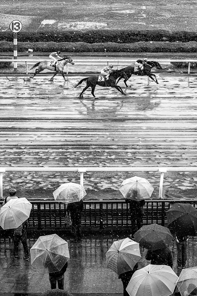 Urawa Horse Racing (2018) art print by Takashi Hasegawa for $57.95 CAD