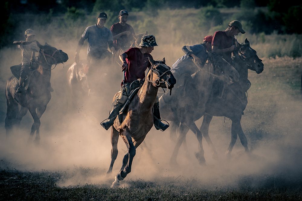 Horses art print by Eyal Alcalay for $57.95 CAD