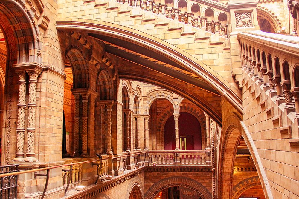 In Natural History Museum art print by Anna Kogan for $57.95 CAD