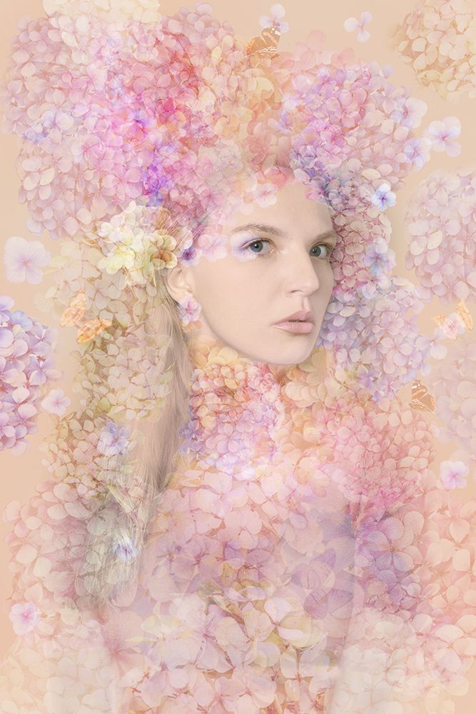 Hortensia art print by Ludmila Shumilova for $57.95 CAD